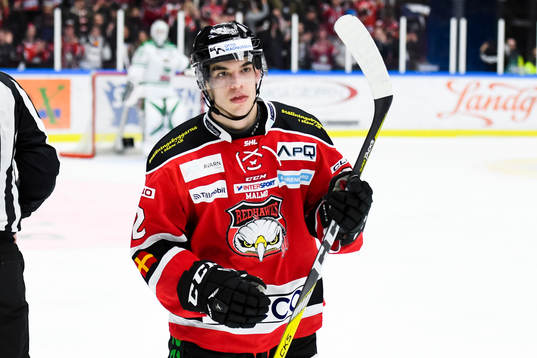 Malmö Redhawks Lukas Haudum  jublar