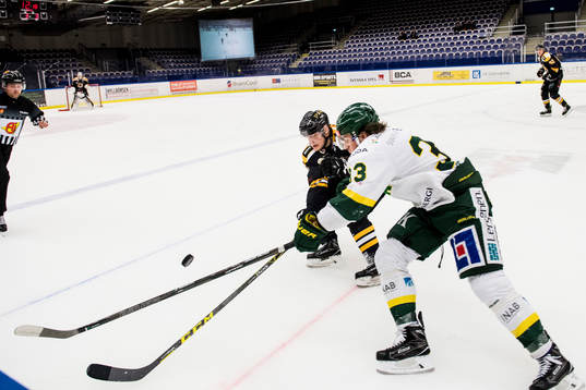 Panterns Johan Björk och Björklövens Marcus Jonsson