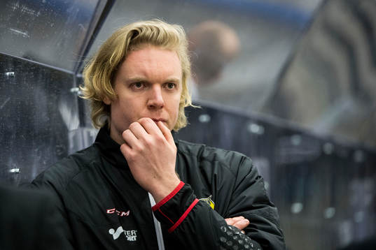 Panterns assisterande tränare Anton Blomqvist