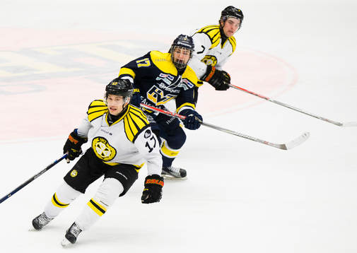 Brynäs Pathrik Westerholm och Ponthus Westerholm (h)