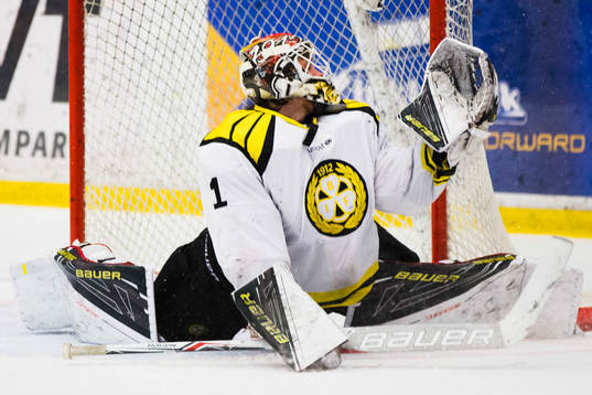 s Mattias Tedenby (ej i bild)