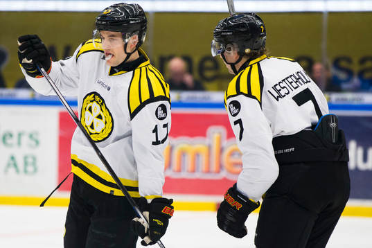 Brynäs Pathrik Westerholm och Brynäs Ponthus Westerholm