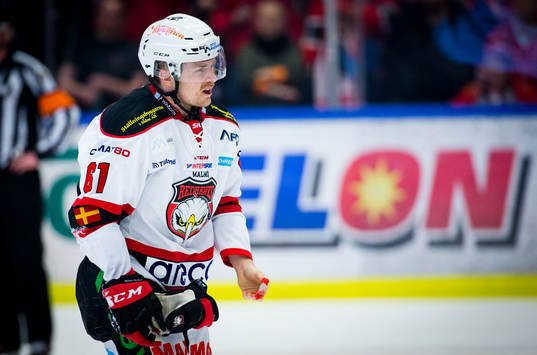 Malmö Redhawks Nicklas Jadeland deppar