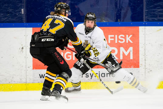 s Nils Höglander