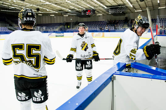 s Anton Cederholm och Max Lindholm deppar