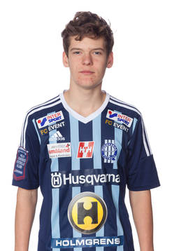 Husqvarnas Walter Strandler