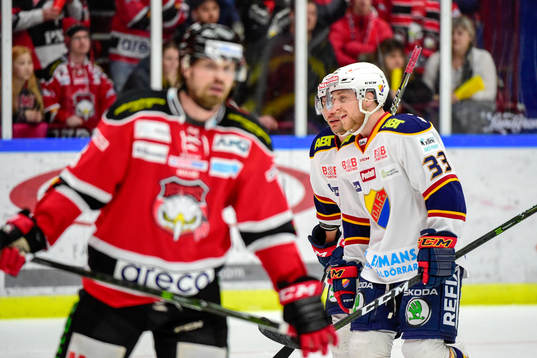 Malmö Redhawks Stefan Warg deppar och Djurgårdens Linus