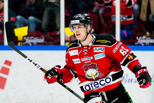 Malmö Redhawks Fredrik Händemark jublar