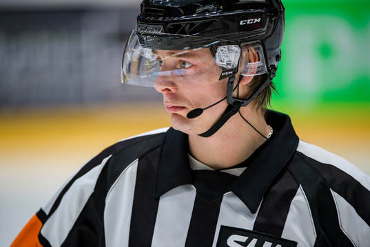 Domare Mikael Andersson