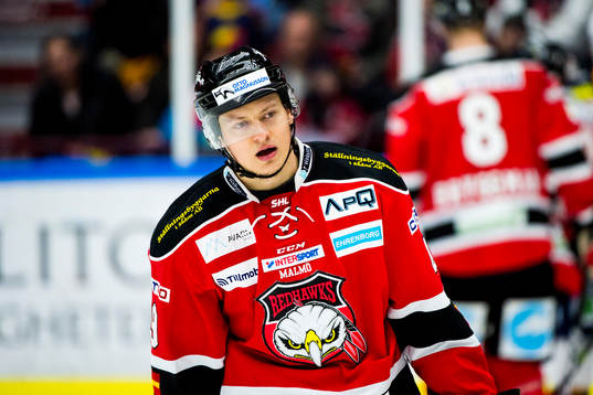 Malmö Redhawks Rhett Rakhshani deppar