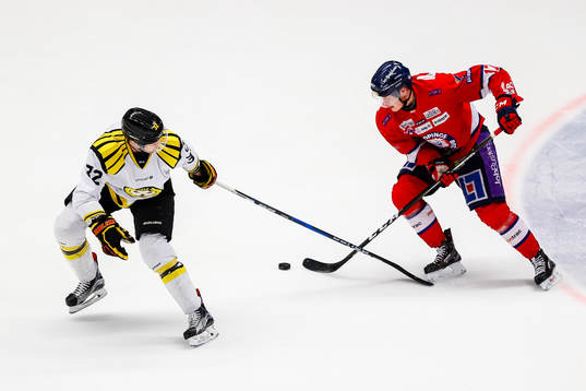 Brynäs Nick Johnson och Linköpings Henrik Törnqvist