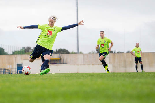 Sveriges Nilla Fischer