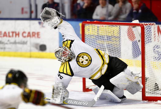 Brynäs David Rautio
