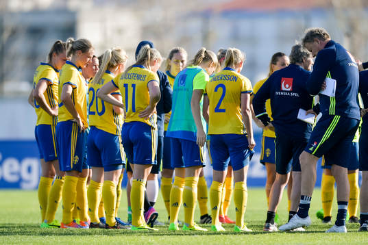 Sveriges spelare samlade