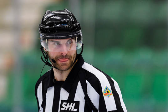 Domare Mikael Sjöqvist