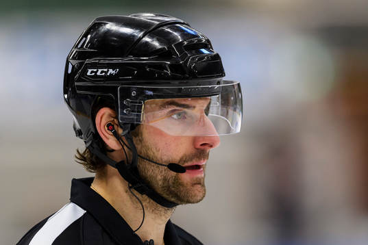 Domare Mikael Sjöqvist
