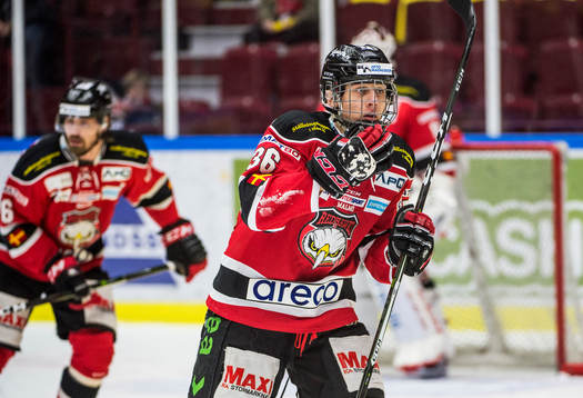 Malmö Redhawks Martin Fehevary