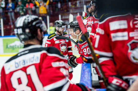 Malmö Redhawks Oliver Olsson deppar med lagkamraterna