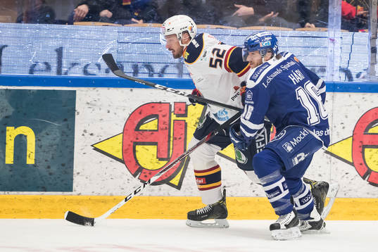 Leksands János Hári