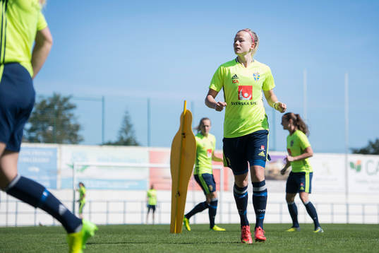 Sveriges Hanna Glas