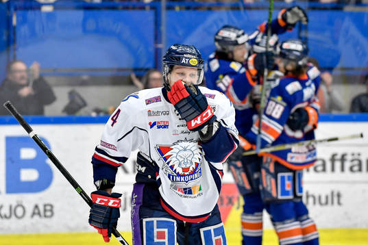Linköpings Niclas Lundgren deppar