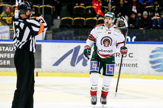 Domare Linus Öhlund visar ut Frölundas Sean Bergenheim