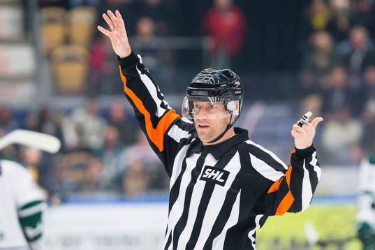 Domaren Sören Persson