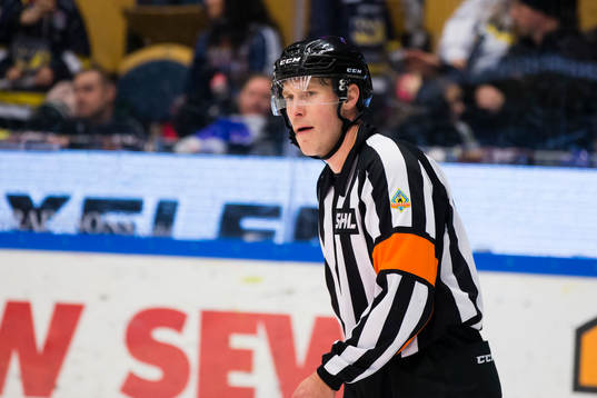Domaren Tobias Björk