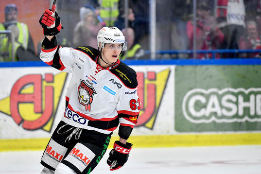 Malmö Redhawks Fredrik Händemark jublar