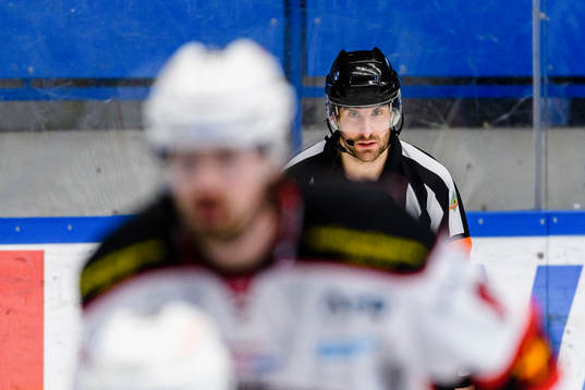 Domare Mikael Sjöqvist