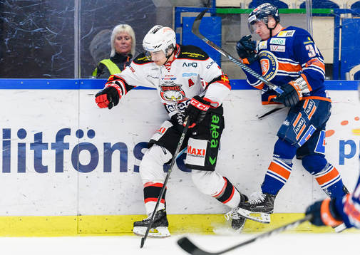 Malmö Redhawks Nils Andersson