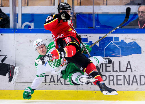 Bläddra bland fler bilder av Ishockey, SHL, Luleå - Rögle