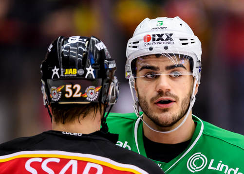 Rögles Almen Bibic