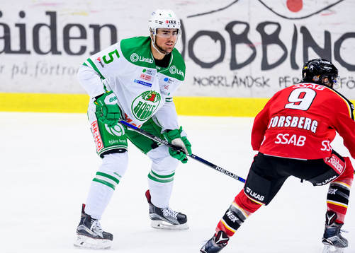 Rögles Alen Bibic