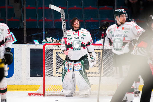 Tingsryds målvakt Niklas Rubin deppar