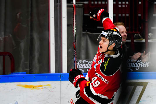 Malmö Redhawks Rhett Rakhshani jublar