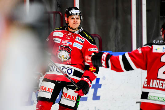 Malmö Redhawks Rhett Rakhshani jublar