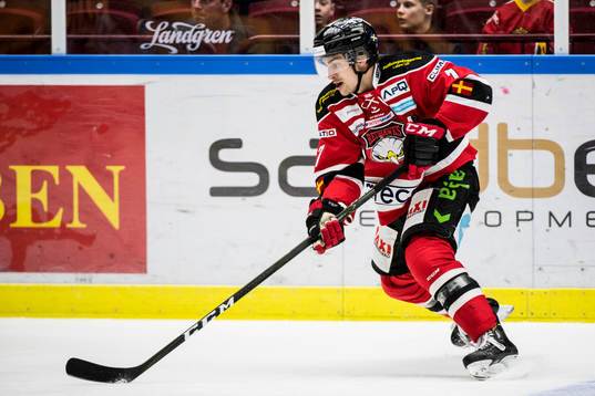 Malmö Redhawks Nils Andersson