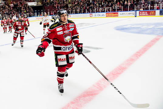 Malmö Redhawks Rhett Rakhshani jublar