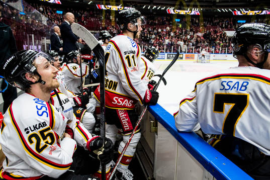 Luleås Anton Hedman deppar i båset