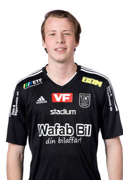 Carlstads Ludvig Gran