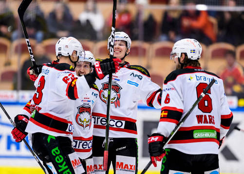 Malmö Redhawks spelarna jublar