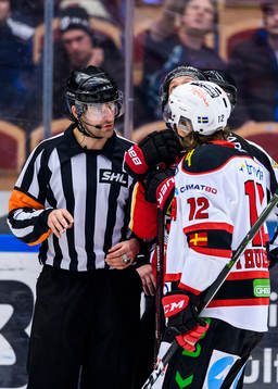 Domare Mikael Sjöqvist