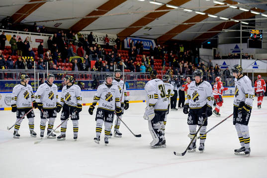 under slutspelsserien i Hockeyallsvenskan mellan Almtuna