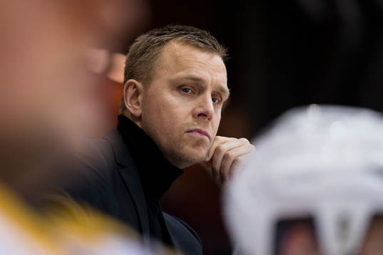 Skellefteås assisterande tränare Bert Robertsson