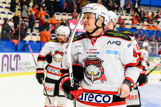 Malmö Redhawks Rhett Rakhshani jublar