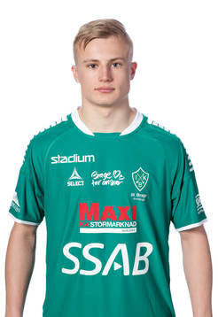 Brages Viktor Bergh