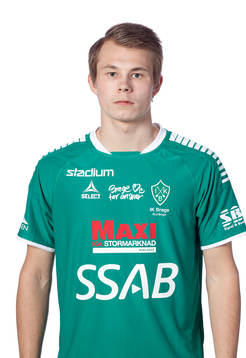 Brages Alexander Zetterström