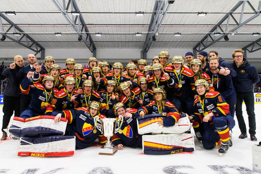 Bläddra bland fler bilder av Ishockey, SDHL, Final 2, Djurgården - HV71