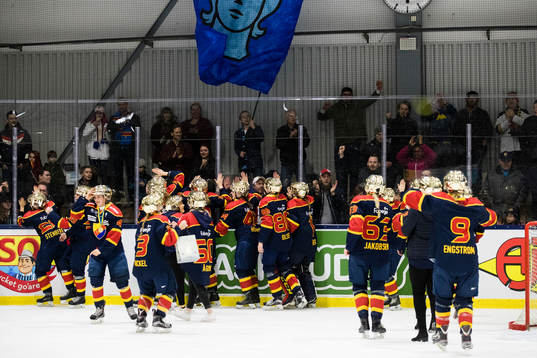 Djurgårdens spelare tackar publiken